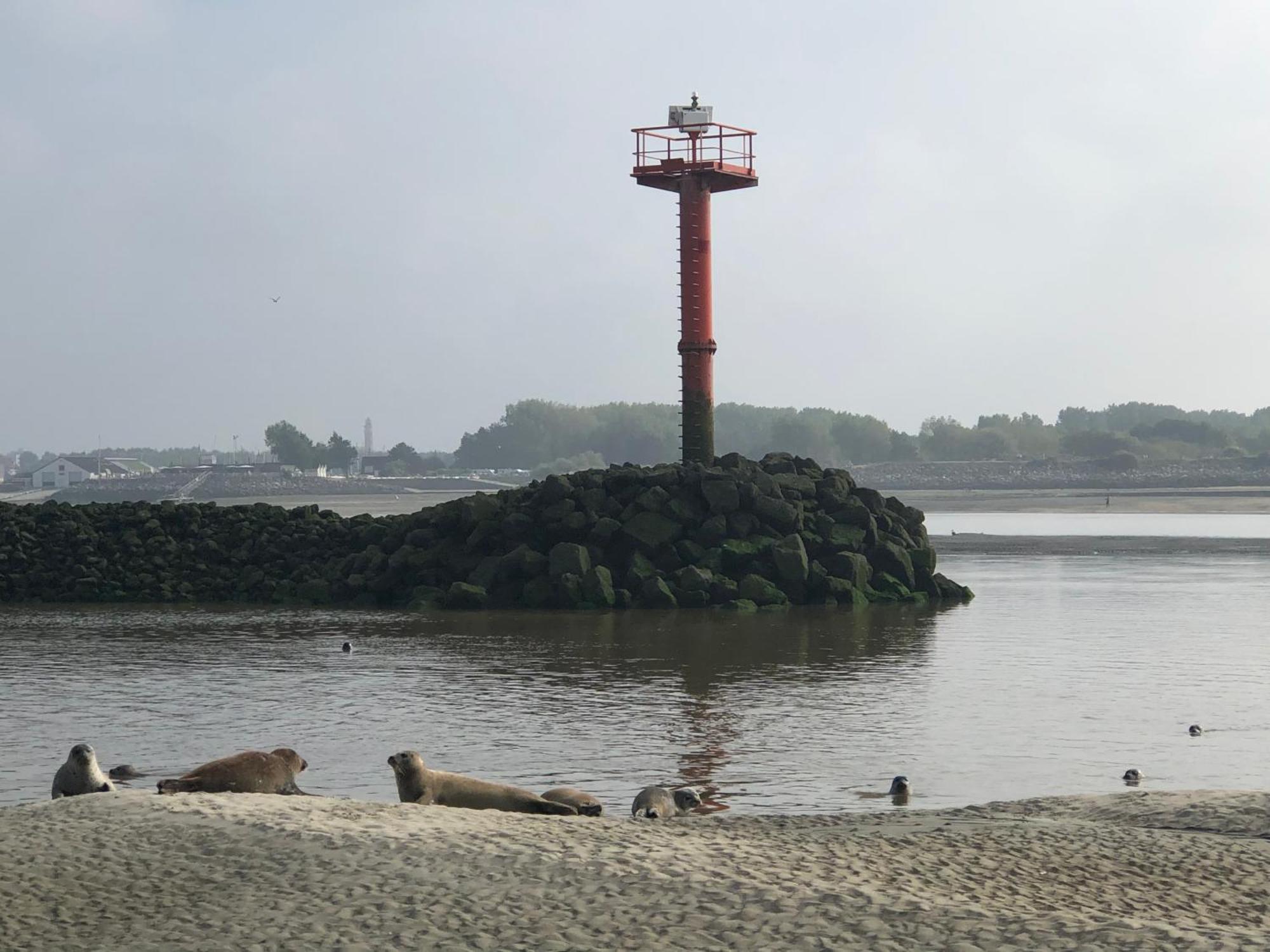 L'Escapade - Hardelot Plage - Parking Prive Neufchâtel-Hardelot Buitenkant foto